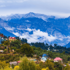 Shimla